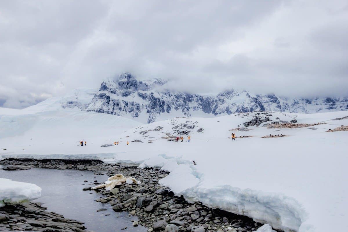 Jougla Point Antarctica - Lina Stock