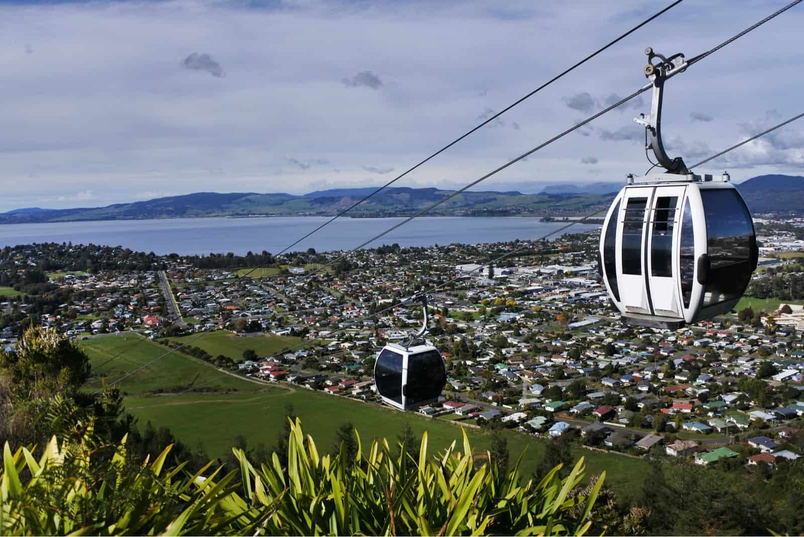things to do in Rotorua