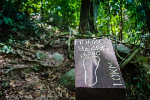 Taman Negara National Park Penang Malaysia RTW Recap