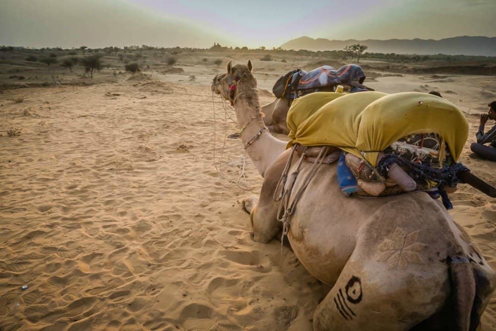 Best Places to Visit in Pushkar