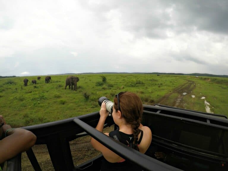 Best Sri Lanka Safari: Comparison guide