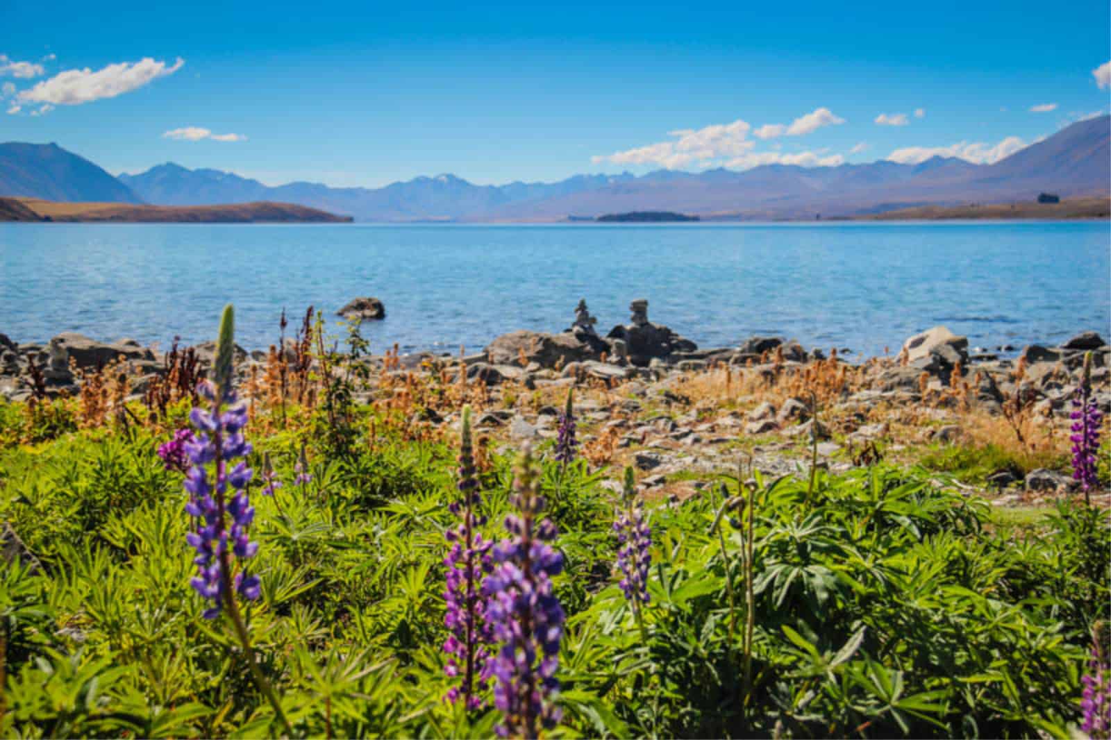 Best Time to Visit New Zealand