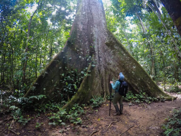 Best camera backpack for travel