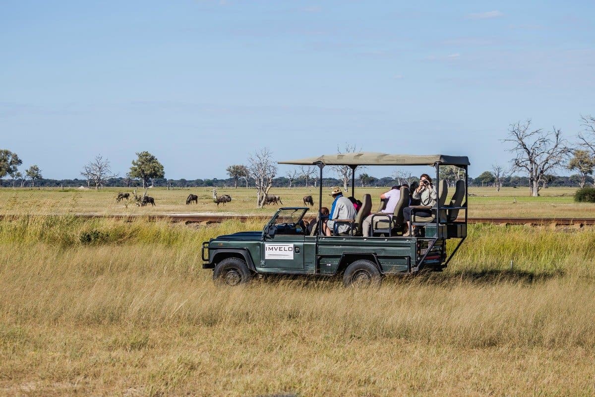 Guide to Visiting Hwange National Park in Zimbabwe