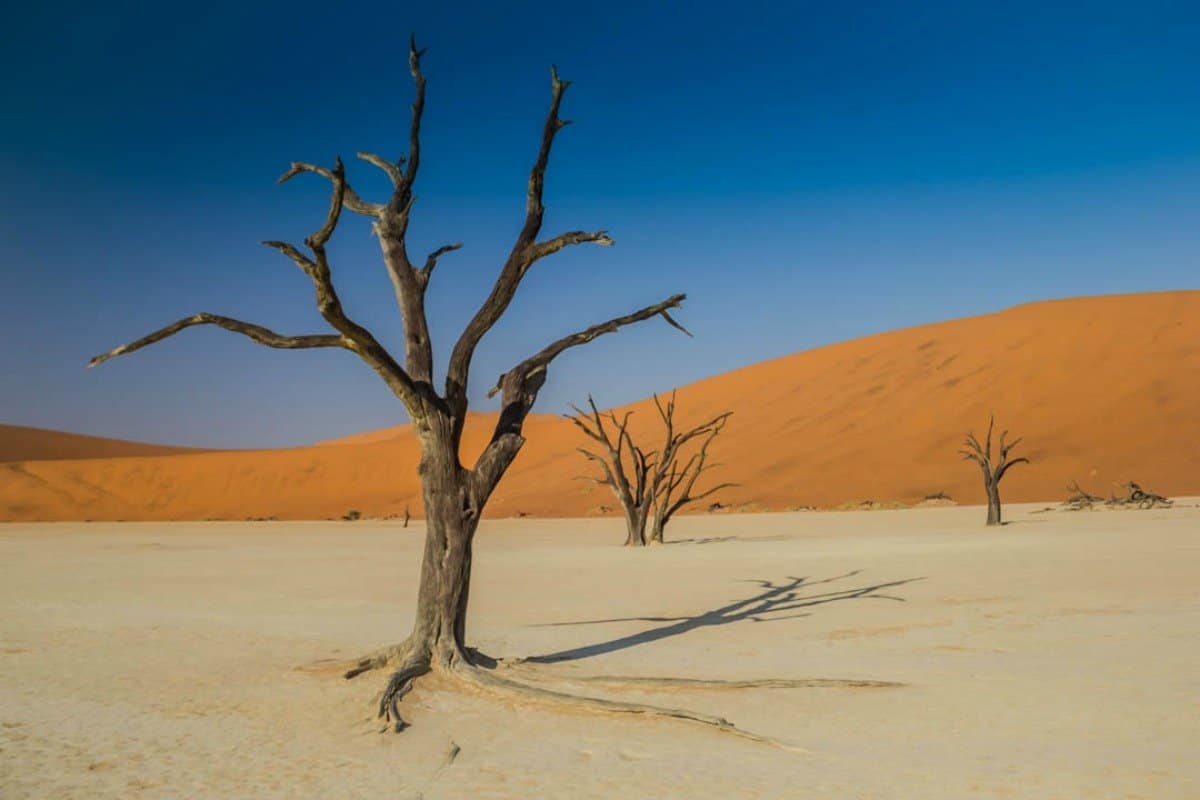 Guide to Visiting Sossusvlei in Namibia