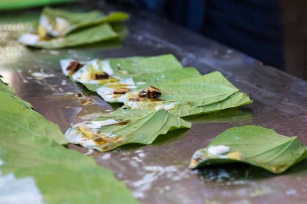 Betel Nut Snuff Myanmar