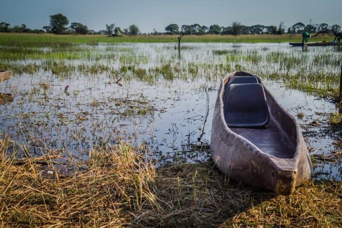 Okavango Delta Mokoro Canoe Botswana