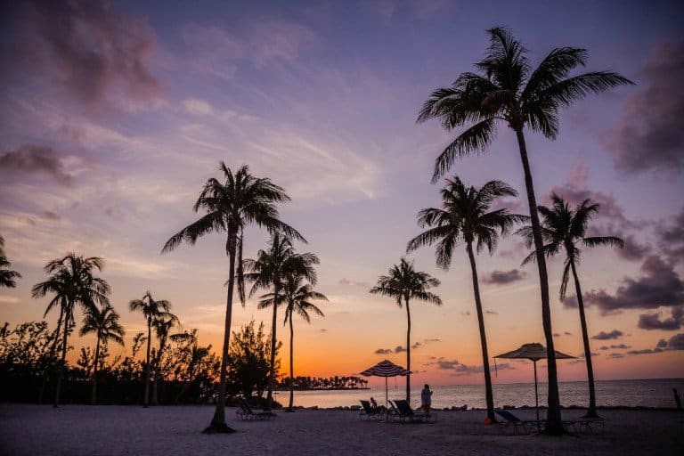 Palm tree sunset in the Florida Keys