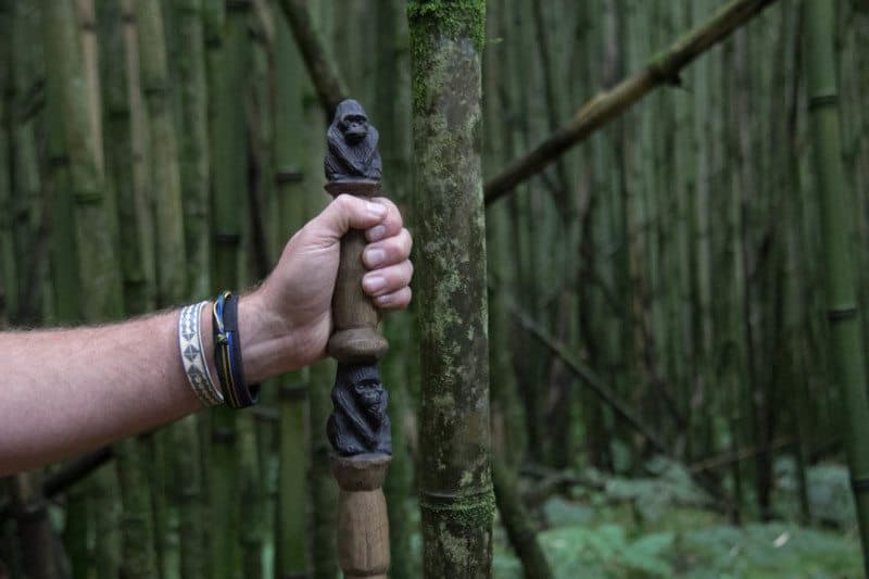 Gorilla Hiking Pole Rwanda