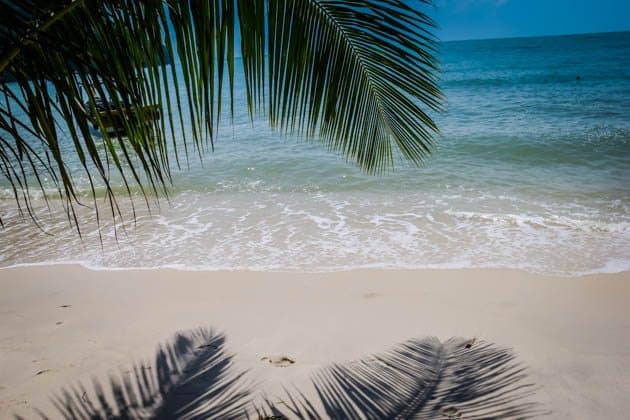 Penang National Park Monkey Beach Trek Malaysia