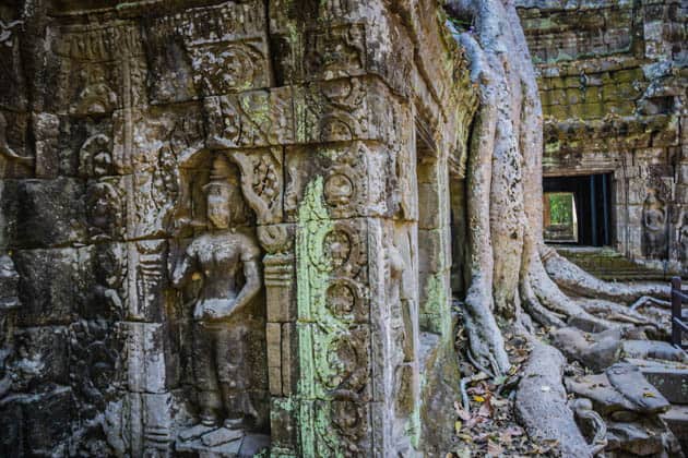 Ta Phrom jungle temple Siem Reap Cambodia Photos