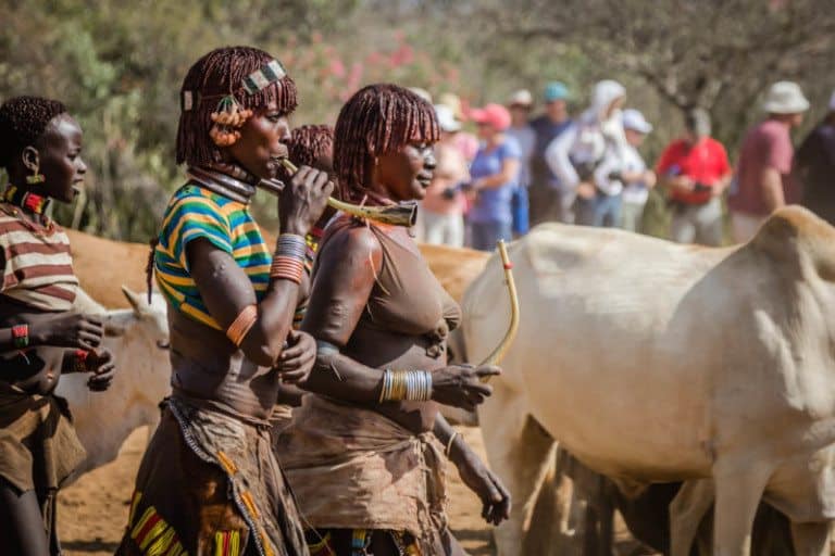 Harmer Tribe Bull Jumping Ceremony Ethiopia