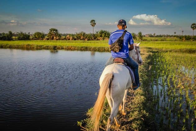 Horseback Riding Siem Reap Cambodia Photos