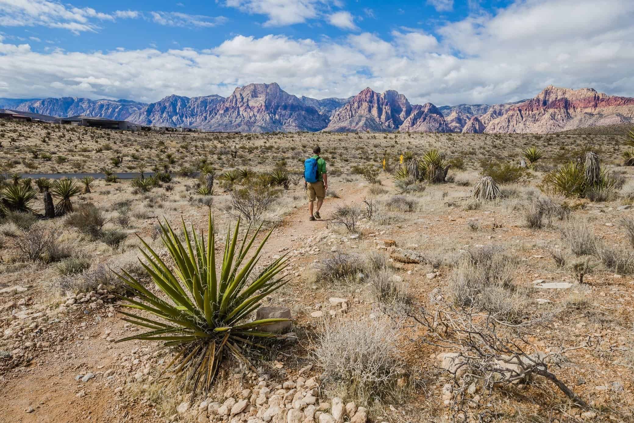Red Rock Canyon near Las Vegas, Nevada