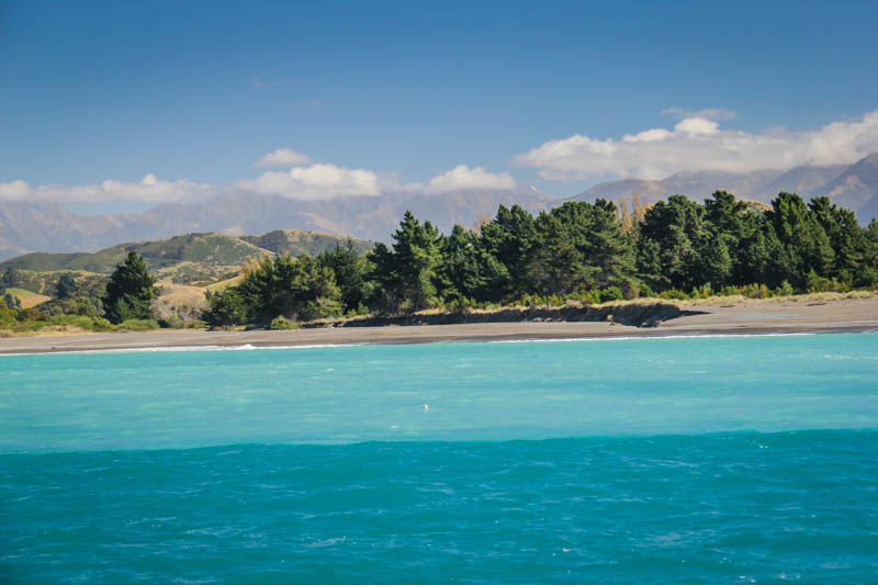 things to do in New Zealand - Kaikoura
