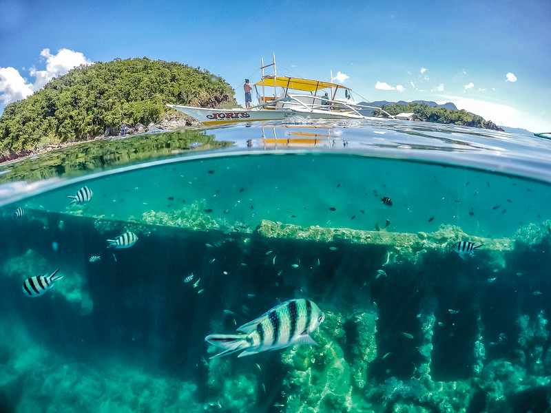 Overunder of a shipwreck off Busuanga Island Philippines