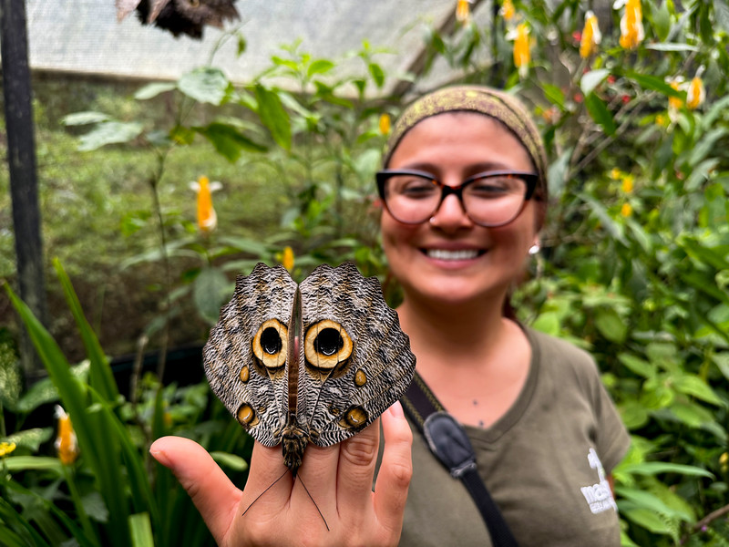 Naturalist with butterfly at Mashpi Lodge, Ecuador