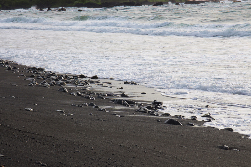 Punaluu Beach Hawaii