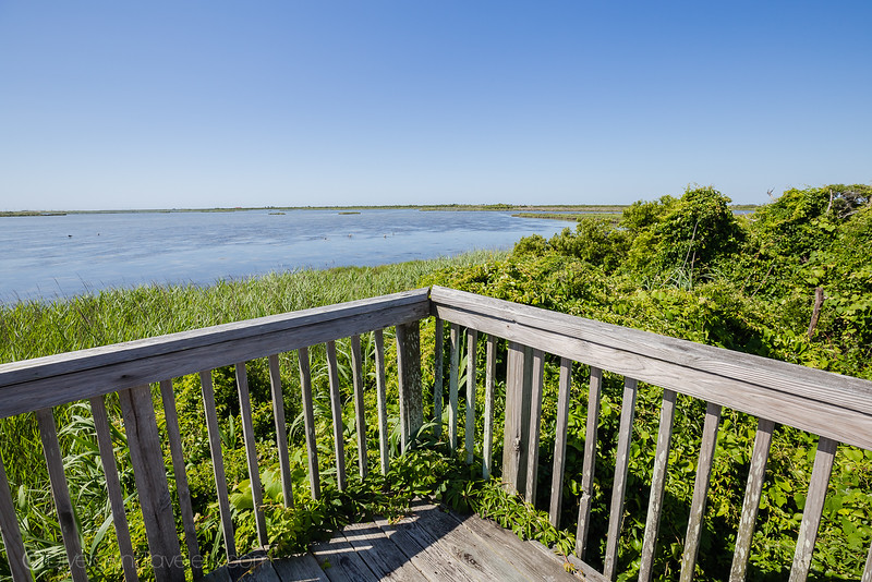 Pea Island National Wildlife Refuge - Things to do on Outer Banks