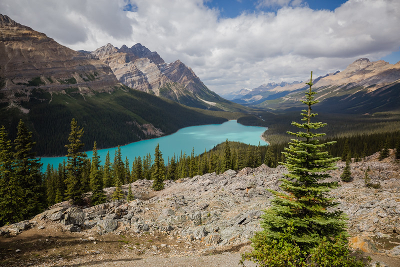 The Icefields Parkway in July