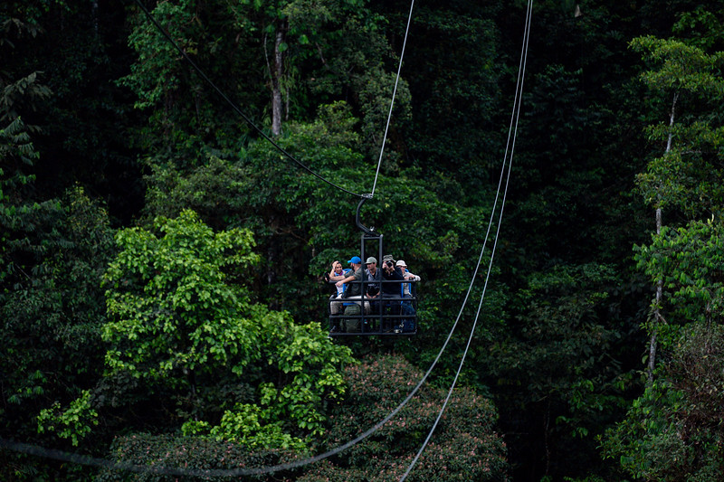 Dragonfly experience at Mashpi Lodge, Ecuador