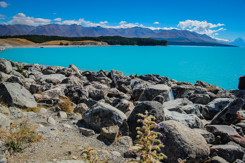 things to do in New Zealand - Lake Pukaki
