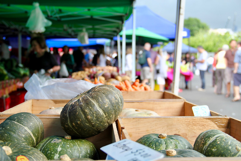 Local farmers market in Tauranga New Zealand