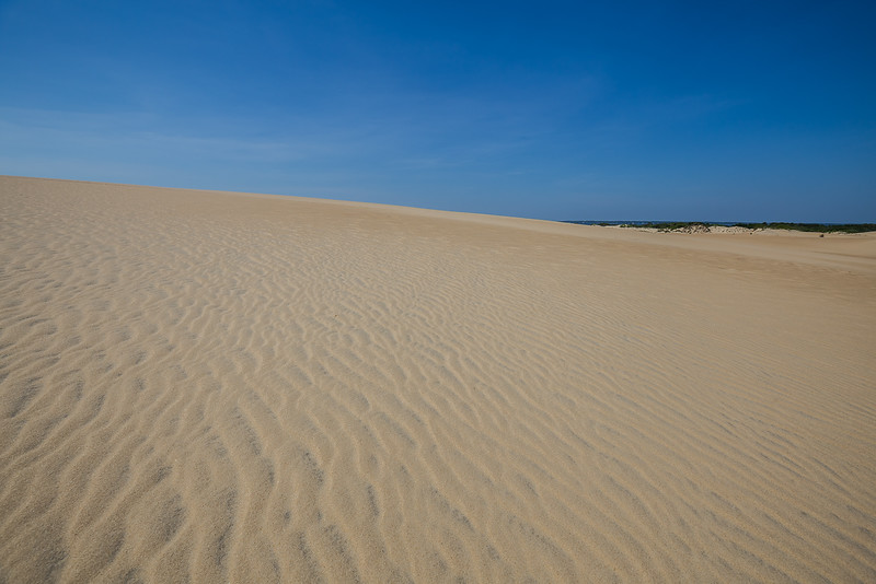 Jockey Ridge State Park - Nags Head, NC