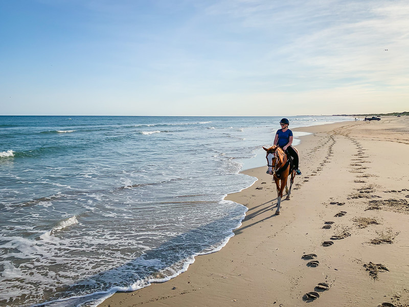 Horseback riding - Hattera Island Outer Banks