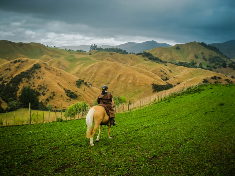 things to do in New Zealand - Horse Trek River Valley
