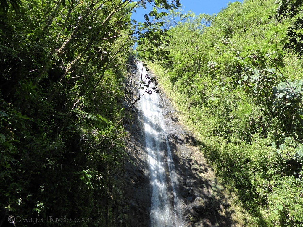 Things to do in Honolulu: Manoa Falls, Honolulu Hawaii