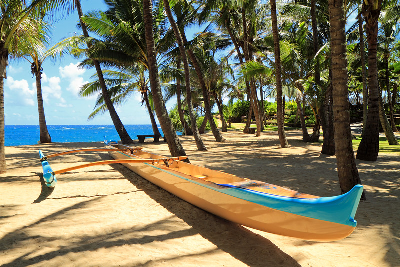 Outrigger canoe waits patiently for action on a sandy beach with palm trees Maui Hawaii USA