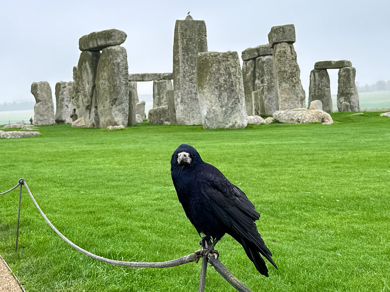 Rook with Stonhenge in England