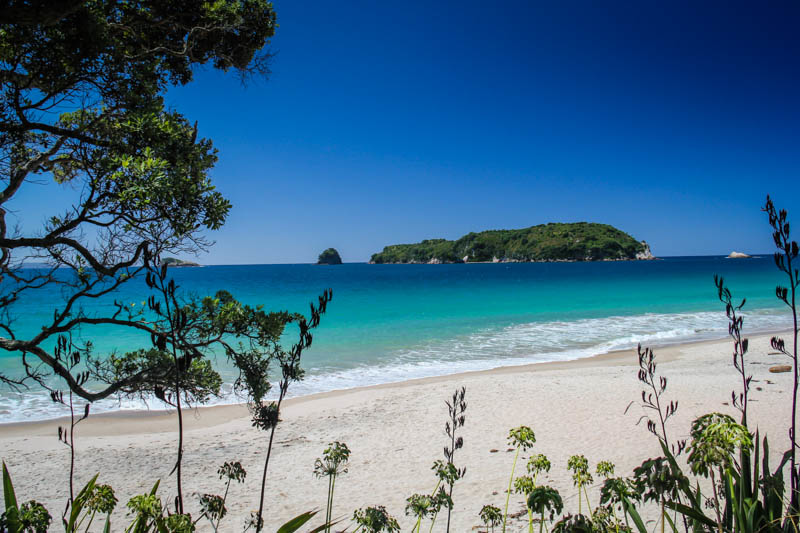things to do in New Zealand - Cathedral Cove