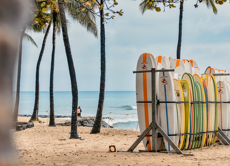 Maui Surfing
