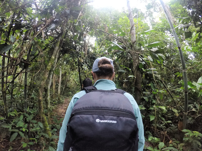 Hiking in the Amazon with Vanguard camera bag