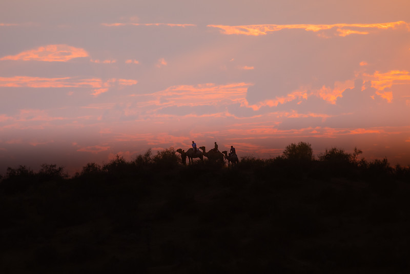 Aydar Kul Desert, Uzbekistan Travel