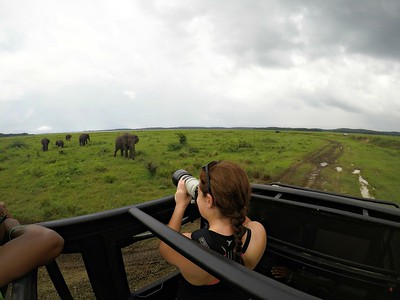 i-kbMkpjG-S.jpg Lina Stock on safari in Sri Lanka taking photos of elephants