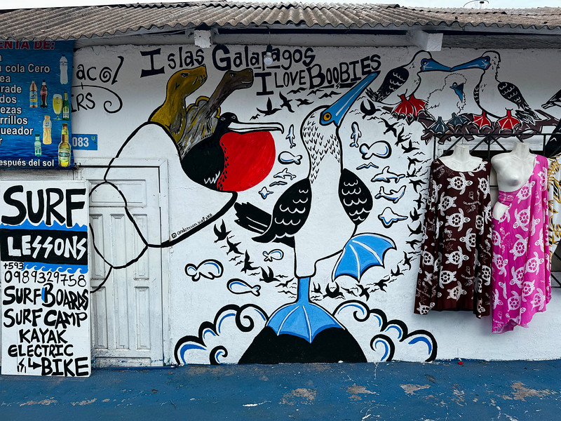 Street art in Puerto Ayora, Santa Cruz, Galapagos Islands, Ecuador