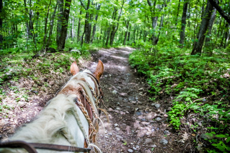 Southwest Virginia Things to do in Virginia