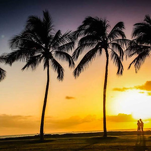 Hawaii Tour