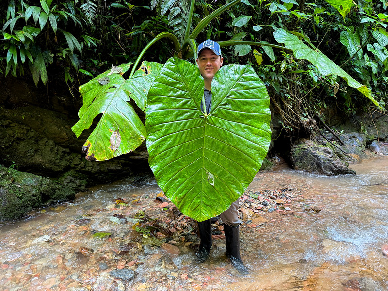 David Stock with giant palm leaf at Mashpi Lodge, Ecuador