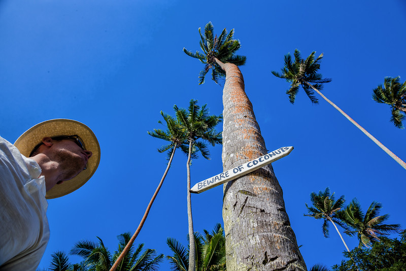 Kapuaiwa Coconut Grove