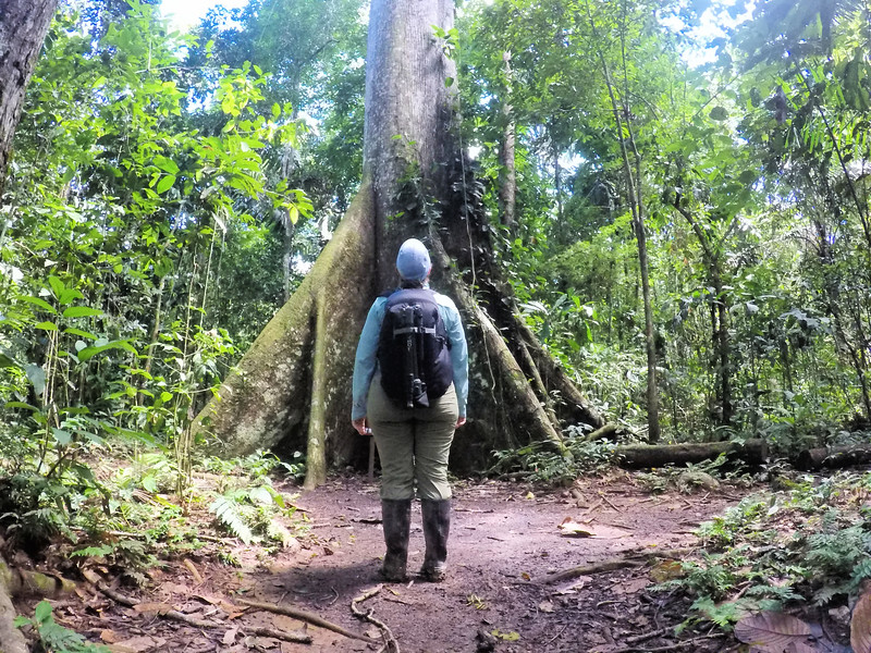 Lina Stock in the Amazon rainforest - Best camera backpack for travel