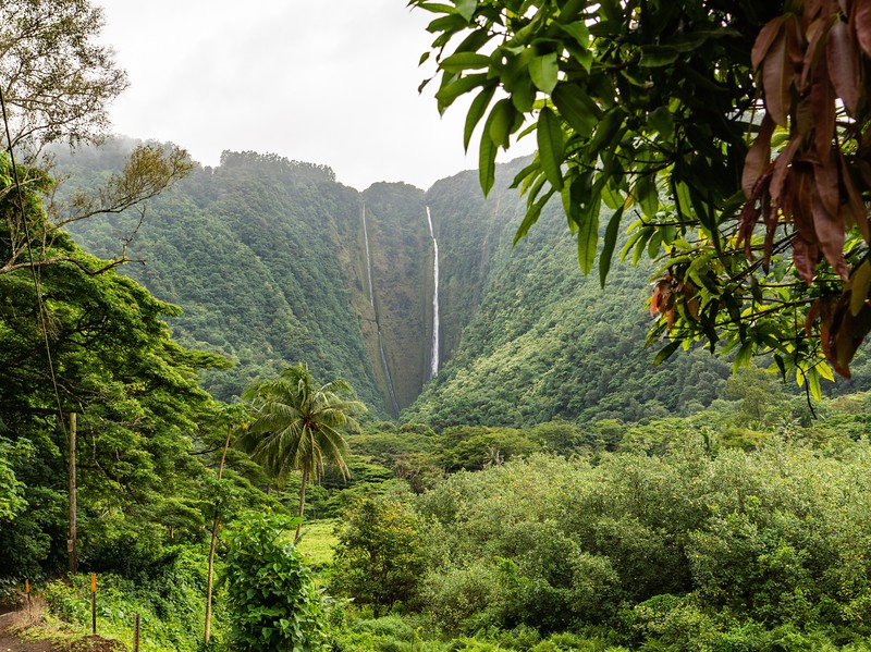 Waipio Valley Hawaii